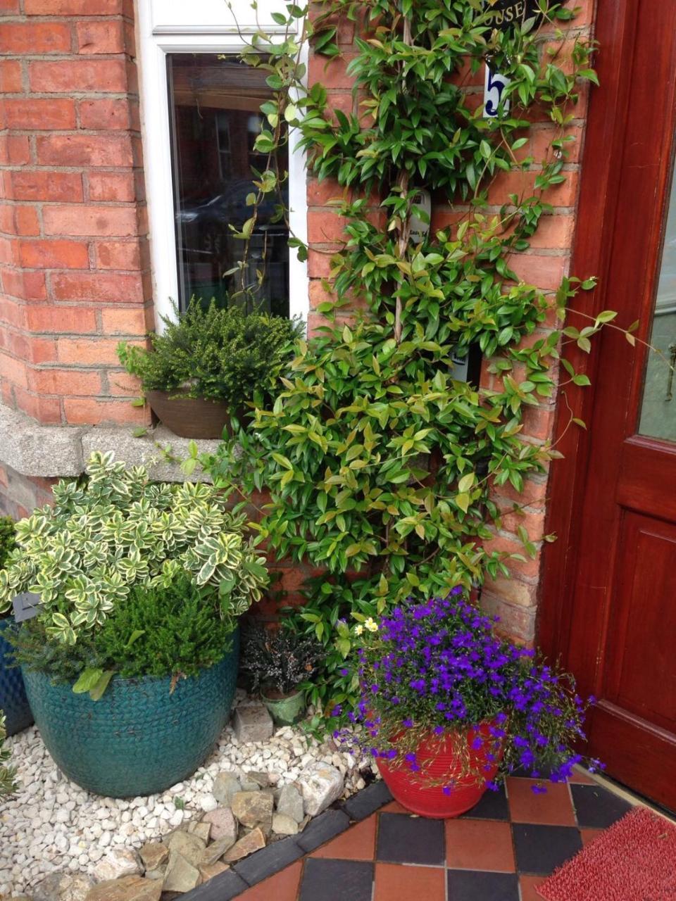 Acara House B&B Dublin Exterior photo